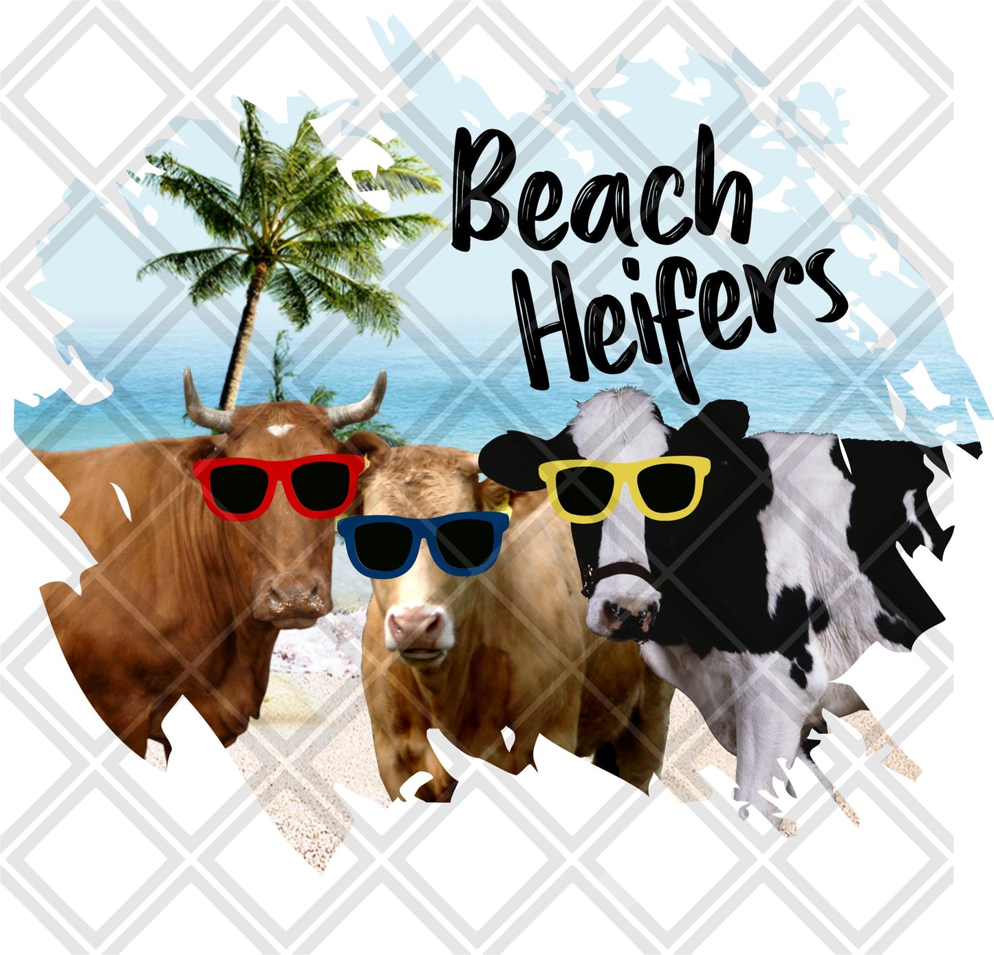 Beach Heifers cow  DTF TRANSFERPRINT TO ORDER